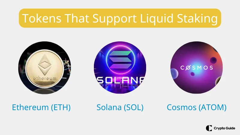 Token, die Liquid Staking unterst&uuml;tzen
