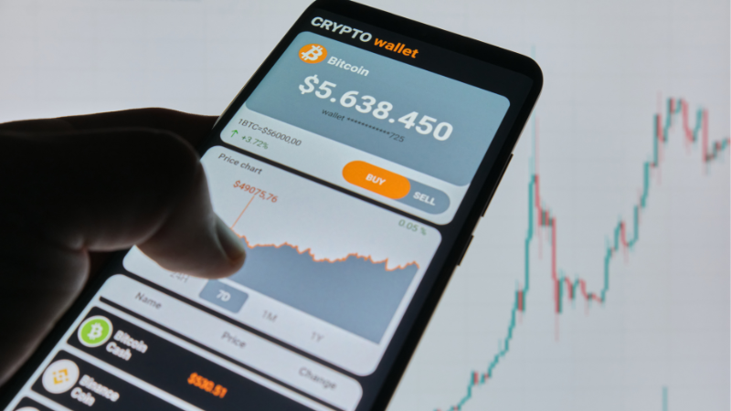 hot-wallet-oder-heiße-Geldbörse