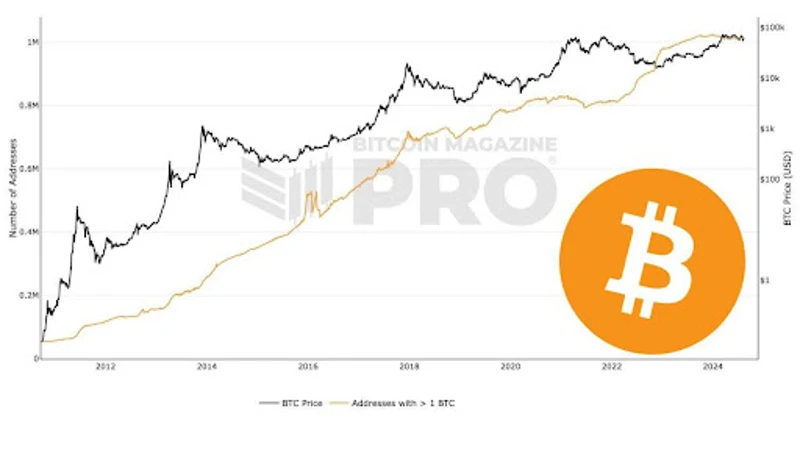 Grafik mit der Anzahl der Bitcoin-Adressen, die 1 BTC halten